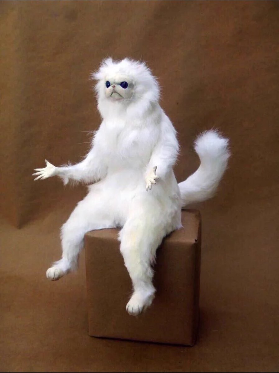 Greatest_Yaks's tweet photo. Professor: "No I can't raise your grade from a 48.8 to a 90"

Me: https://t.co/wPOqnlDl7J