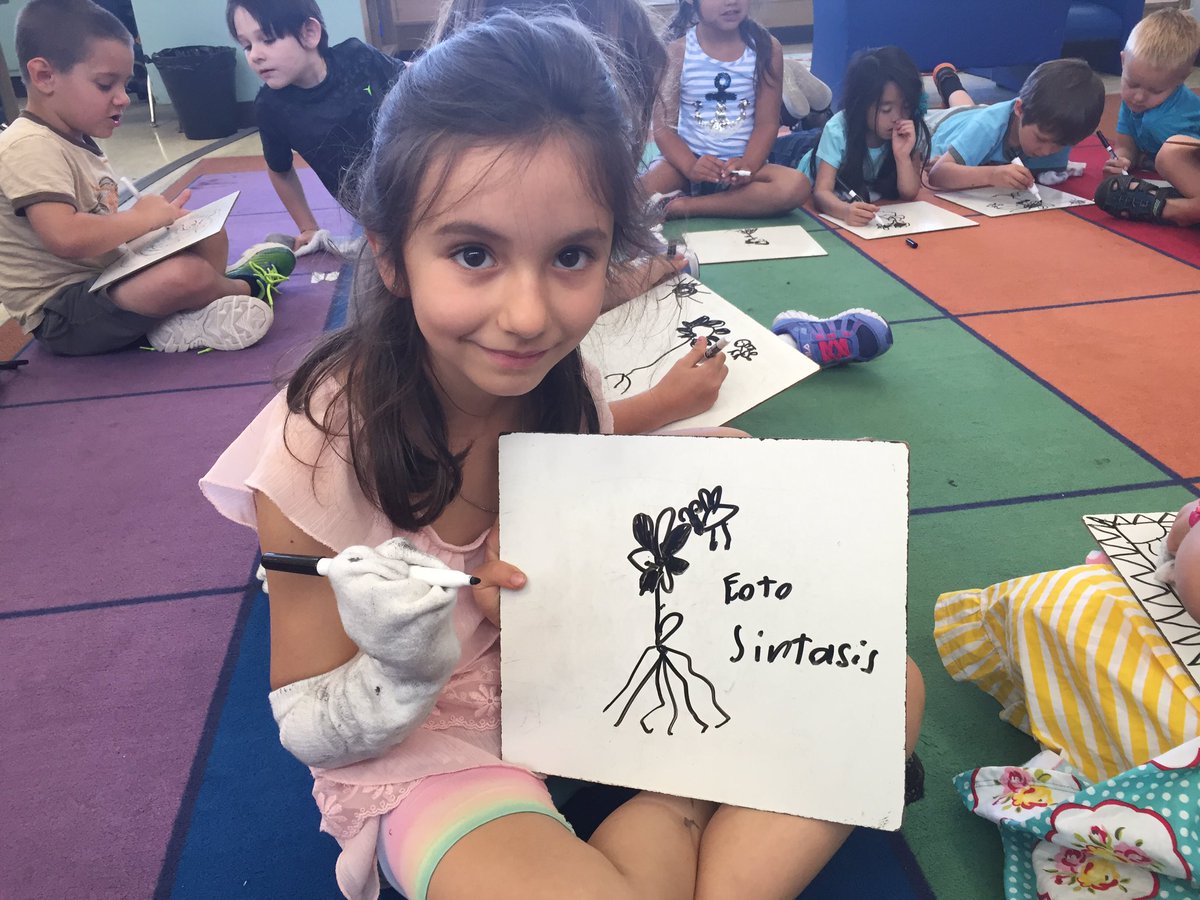 andersonsowls's tweet photo. Plant science word of the day! Such a good spelling attempt ππ»#andersonsowls https://t.co/hoxMUmg3IK