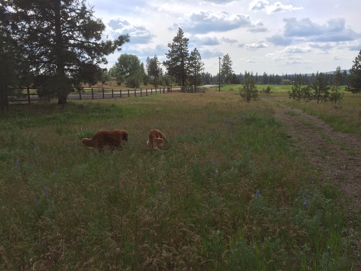 SSPSpokane's tweet photo. #SSPsitevisit started with a walk to meet our hosts' animals! #Spokanimals #SSPokane https://t.co/IWRcQSnmbs