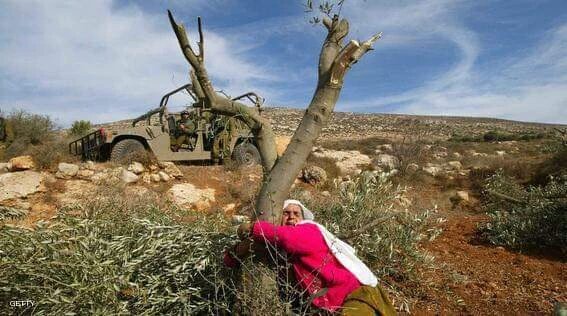 calamity_48's tweet photo. #احكيلنا_عن_فلسطين
لا مكان لأقذر  مخلوقات الله 
في مسرى رسول الله https://t.co/SbVj7U3ODK