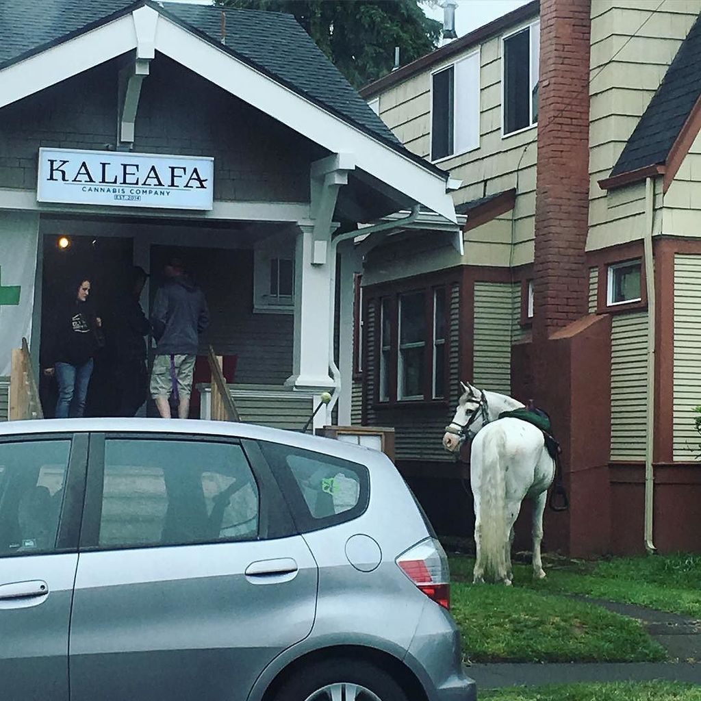 DontMove2PDX's tweet photo. This city is a joke, we don't even have proper #HorseParking ... #DontMoveToPortlandOregon… https://t.co/fEKwfsTm4y https://t.co/0UpeAUtql3