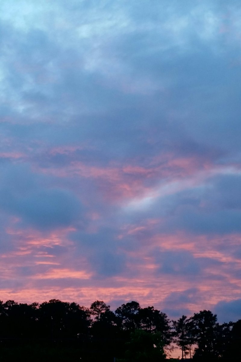 BethBaldauf's tweet image. Stunning #skies over the Acres tonight! #NoFilter #ForestAcresSC #sctweets