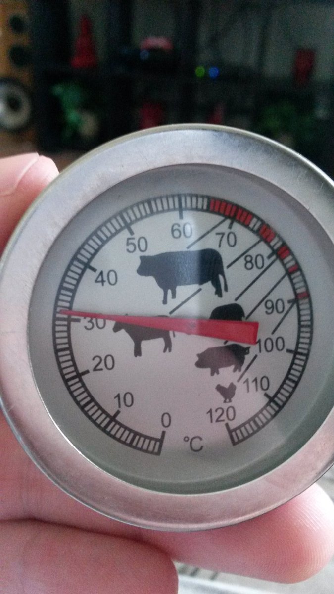 codesterd's tweet photo. #So #HOT #yyc #weather so hot my #meat #Themometer won't even go below 30 #themomentiknew #GlobalWarmingIsNoJoke https://t.co/XIPL56PrIB