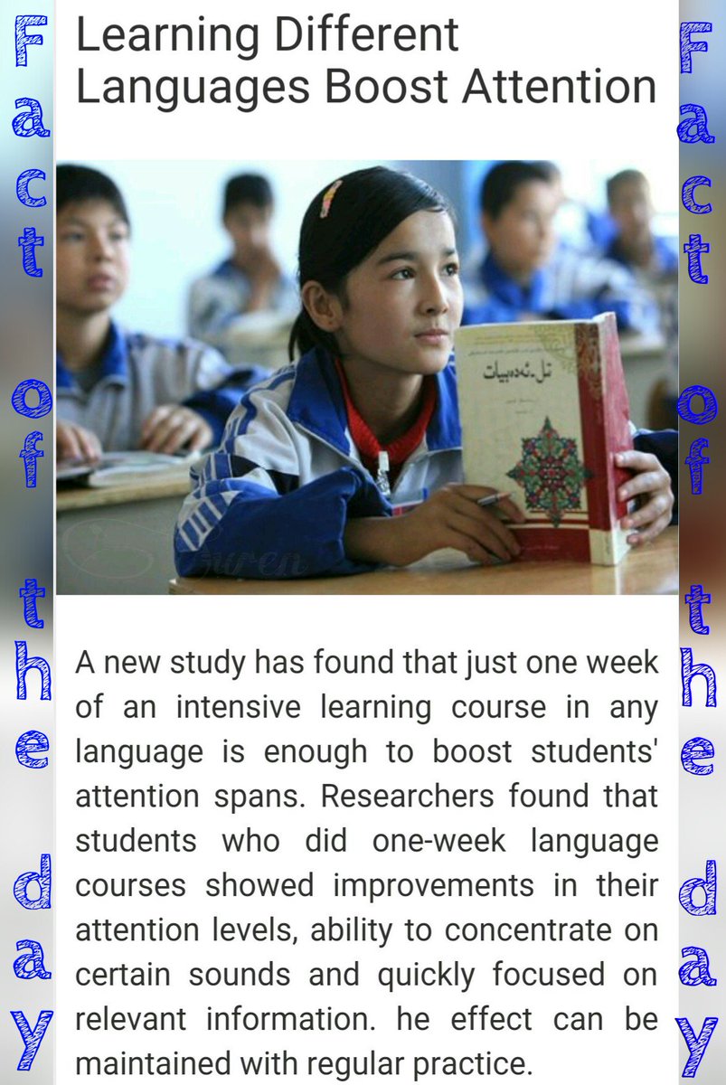 narensuren's tweet image. Learning Different Languages Boost your Attention📖
#factoftheday #fact #learnnewlanguage