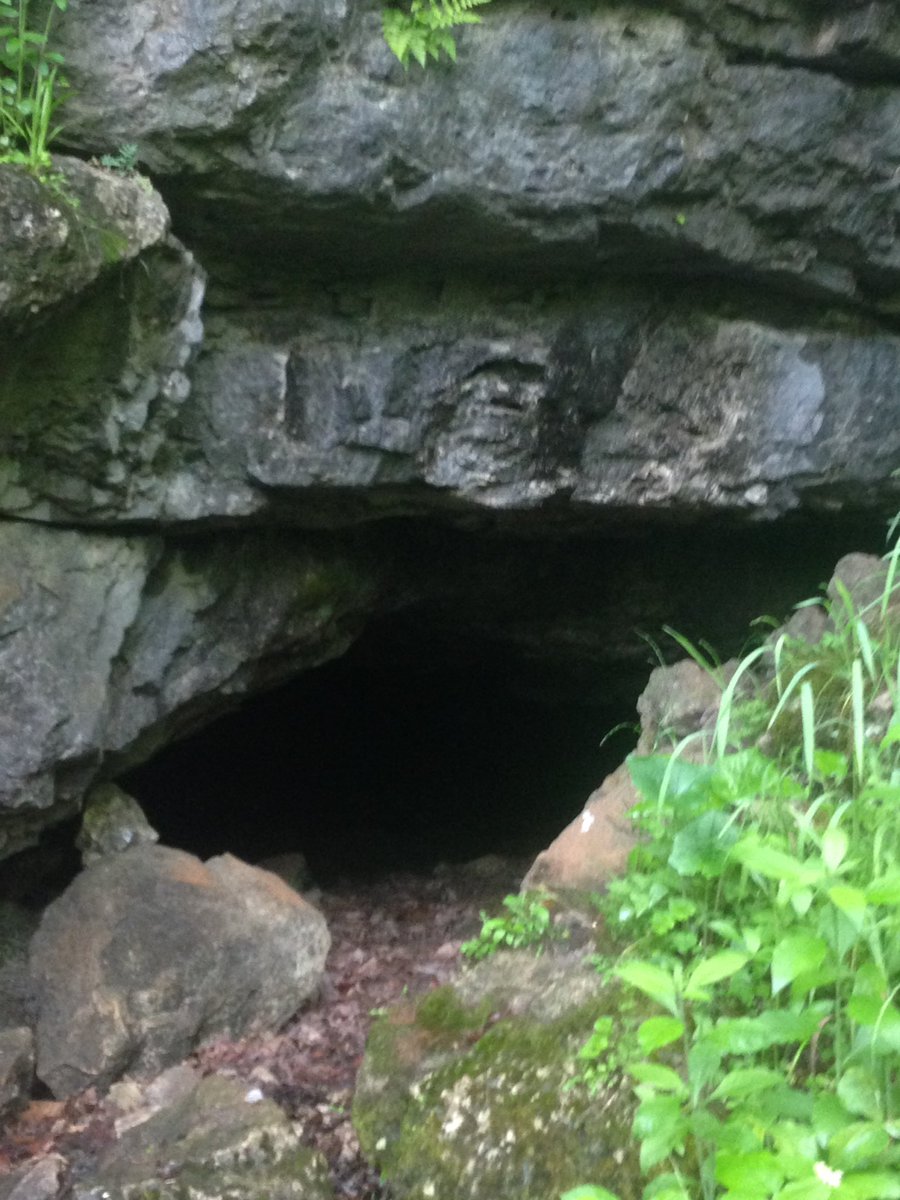 LargerLlamas's tweet photo. Biggest cave I've ever been in. 3 and a half hours and we never reached the back! #caving #spelunking #deepandwide https://t.co/MSLQDWXy5Y