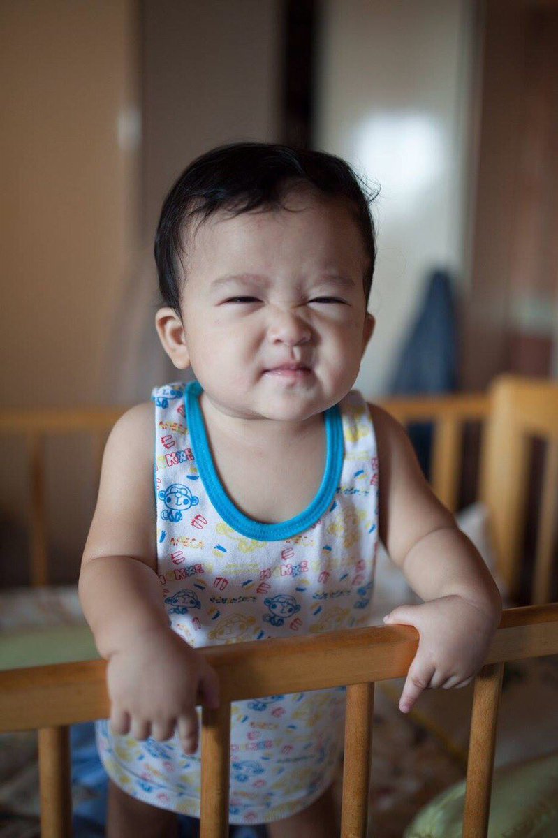 mainedcm's tweet photo. What a cute thing to see in the morning! Aura, Bonqui! https://t.co/mdnOeRD8Ry