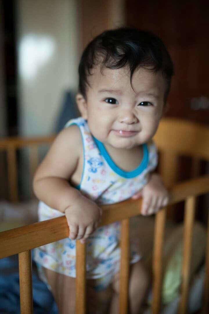 mainedcm's tweet photo. What a cute thing to see in the morning! Aura, Bonqui! https://t.co/mdnOeRD8Ry