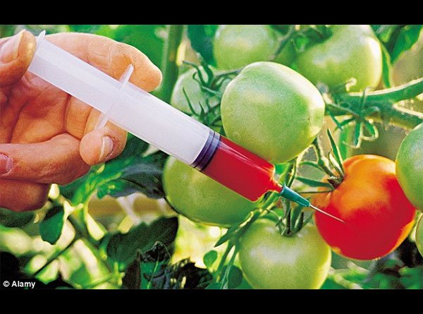 mgmcabt's tweet image. #biotech Advocates pitch for #geneticallymodifiedcrops