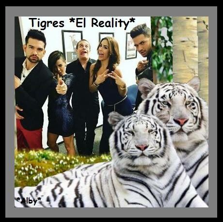 ayala_alby's tweet photo. Mis triunfadores❤️
#TeamTigresElReality
#DanteGHUS
#iselisGHUS
#CarlosGHUS
#CatalinaGHUS
#JasonGHUS https://t.co/LS4cW1dH6N