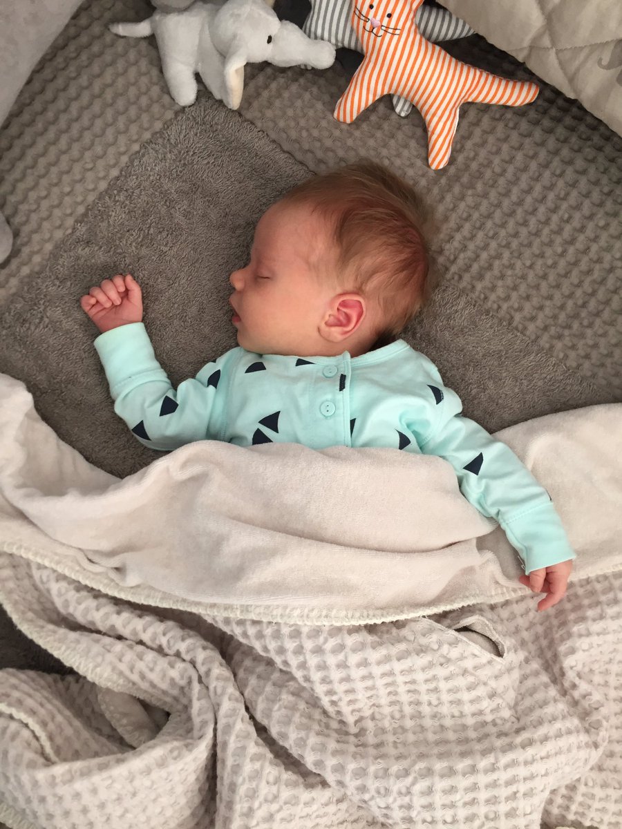 AnnyckN's tweet photo. Meet Oliver Hubert Alexander.. Oftewel Ollie! Nieuwe inwoner van #heerlen sinds 25.04.2016 ❤️ https://t.co/yOV5Okxpnm