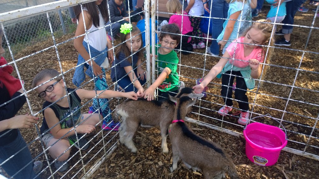 AgenoFirstGrade's tweet photo. Agriculture Day was so much fun! They loved seeing the Dairy Princess😊 https://t.co/LDj0qPcpUd