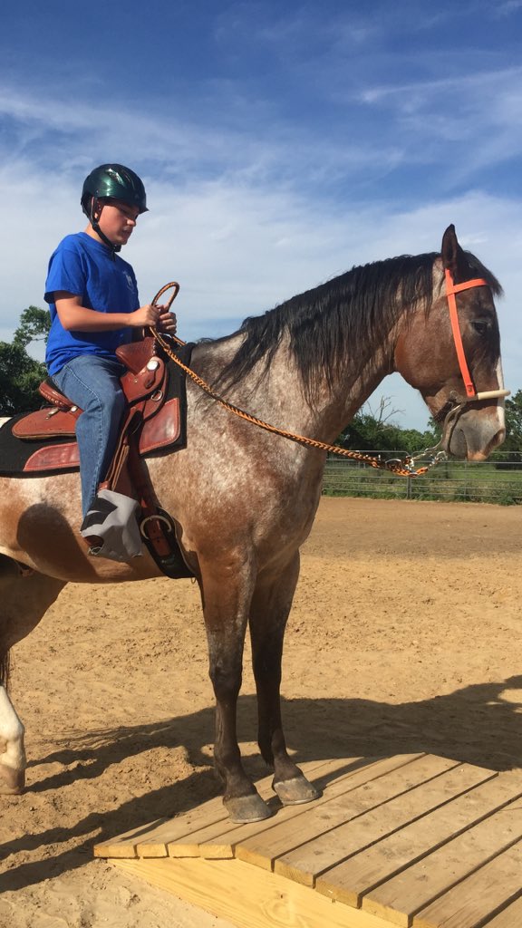 OpenTRAILRanch's tweet photo. Check out our new therapy obstacle bridge @OpenTRAILRanch #Equinetherapy #specialneeds https://t.co/zd4z25eAr0