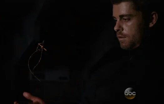 JAM2594's tweet photo. #RIPLincoln I can't believe how much I cried but you will be missed ♡ #AgentsofSHIELD https://t.co/bmBoZMzBUw
