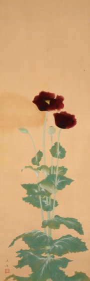 yamatanemuseum's tweet photo. 奥村土牛《罌粟》(山種美術館)。今は限られた種しか日常で目にすることはありませんが、戦前の日本画の画題としてはしばしば描かれた罌粟。細かく尖った葉の質感や透明感のある花弁を巧みに表現しています。（山崎） https://t.co/cTIVkRu1I6