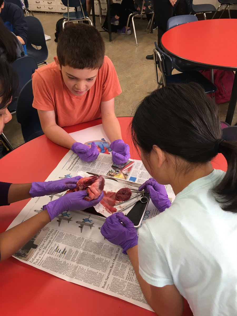 Heart dissection in Mr. Fulwiler's class!