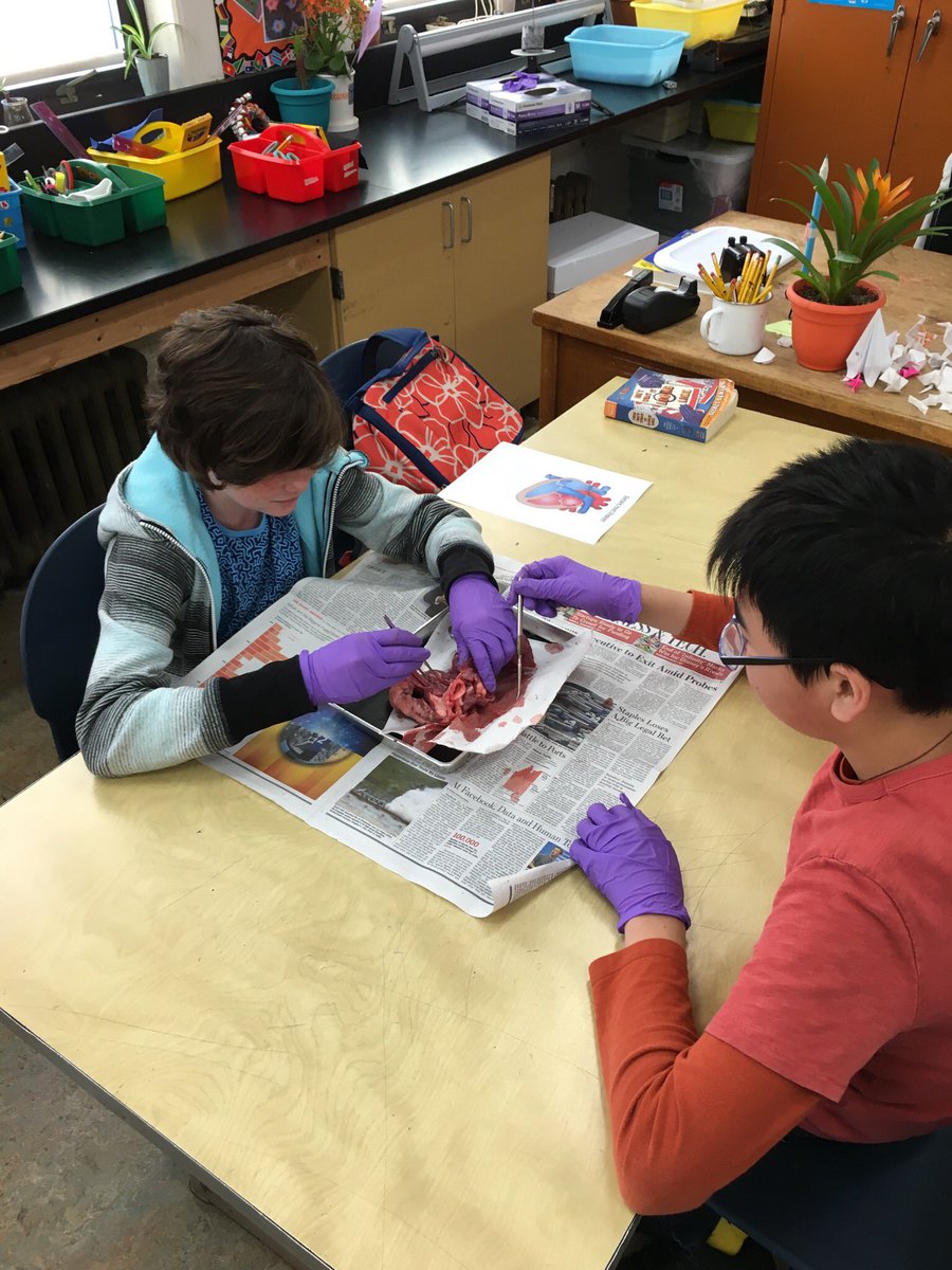 Heart dissection in Mr. Fulwiler's class!