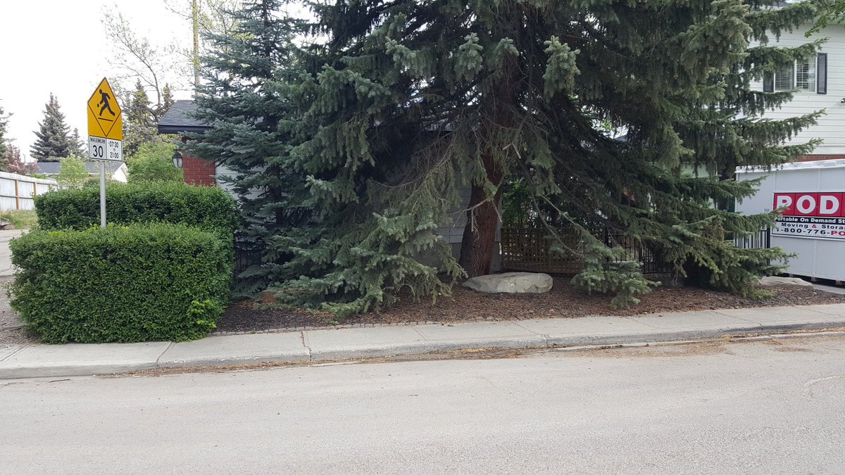 GreenFutureca's tweet photo. @GreenFutureca @Belgard #woodchip #flowerbed #sprinkle #system #bubblewater #yyc #eachtree https://t.co/eC3nBFfxK6
