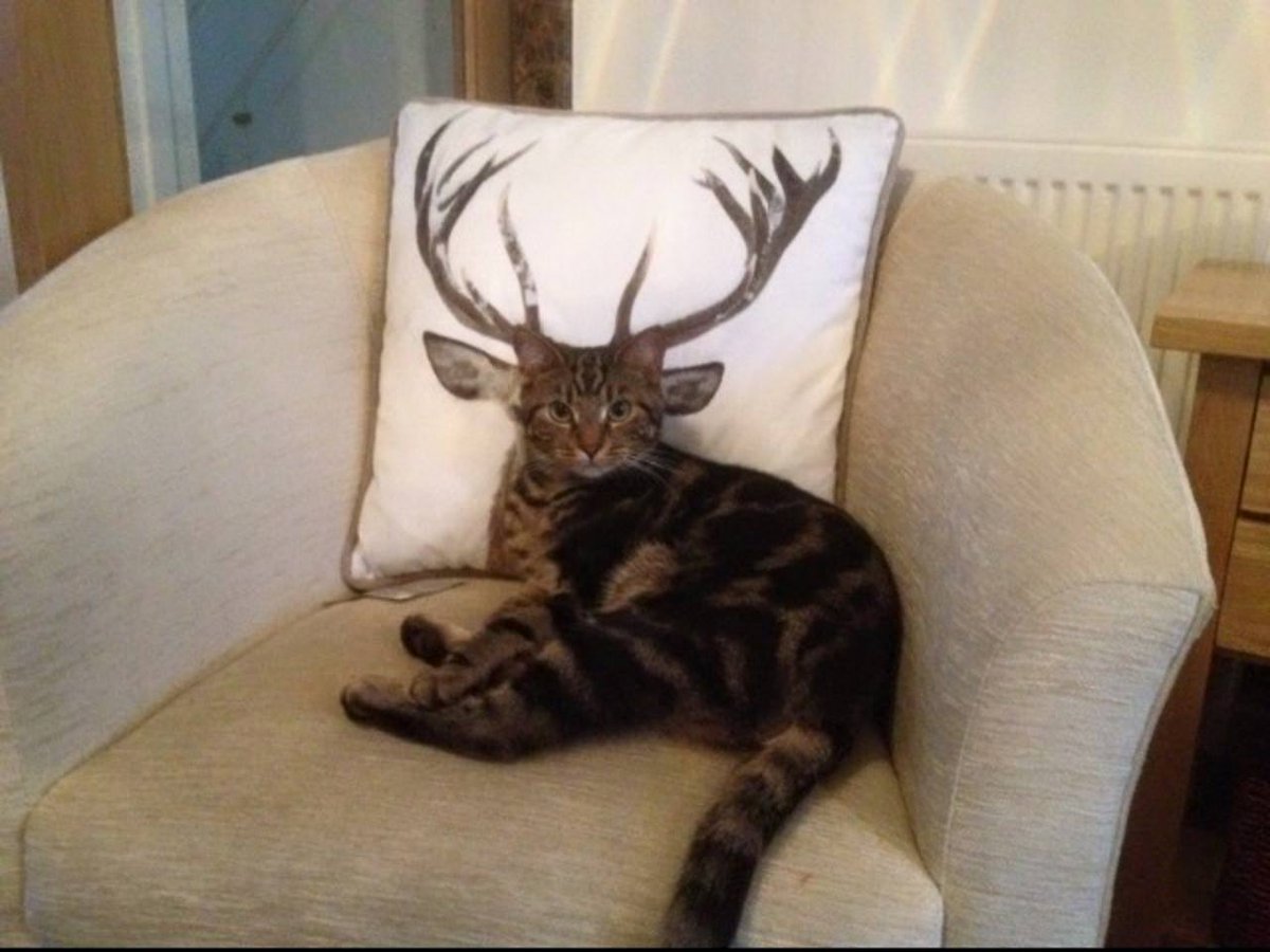 OG Santa tweet media