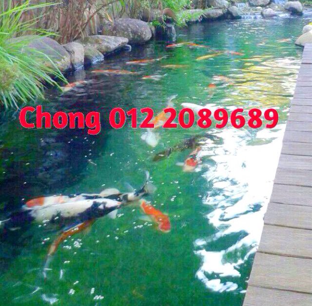 barbiepumpkin's tweet photo. #cheras #hartamas #property #semiD #kl #forsale 3200sf. Leasehold. 5Rooms5Baths. Koi Pond. Partly furnished. https://t.co/qOKpHt1VrT