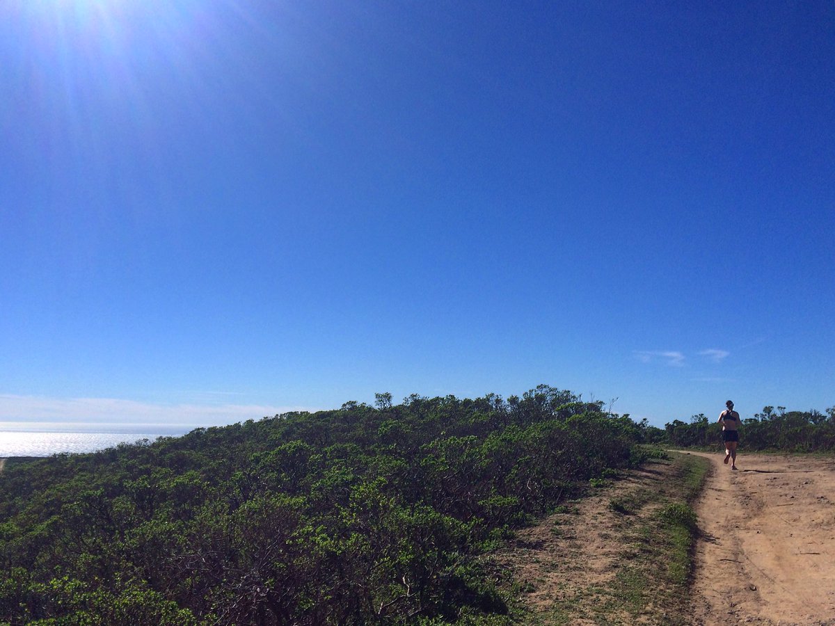 kooeesnacks's tweet photo. Working from the second office today.
#wheredoyoukooee #OptOutside #trailrunning #jerky #marin @GoldenGateNPS https://t.co/4Am6vqbVFI