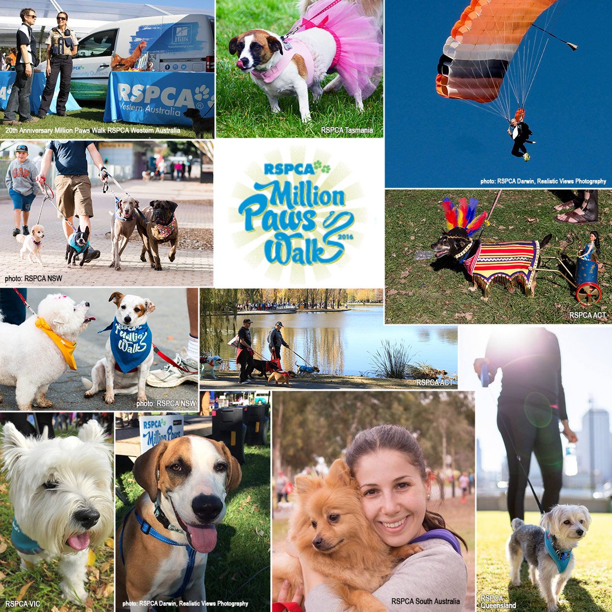RSPCA's tweet photo. Over 290,000 paws walked in last weekend’s #MillionPawsWalk. THANKS to all who help make this a great event! https://t.co/k1gwzk4YQx