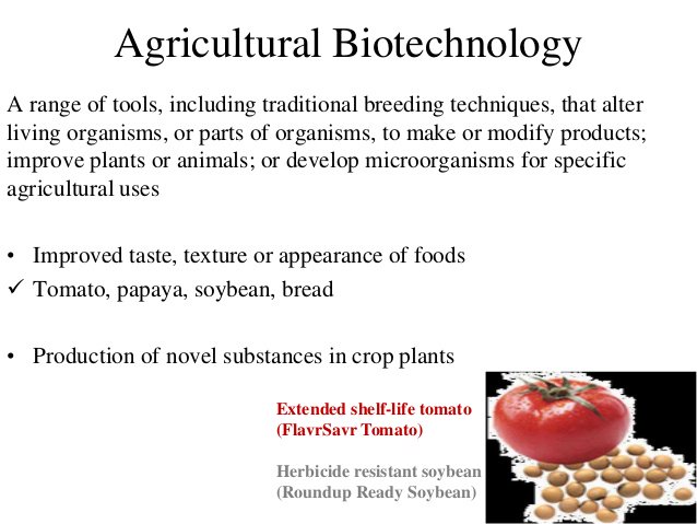 mgmcabt's tweet photo. #rangeofTools #traditionalbreedingtechniques https://t.co/J3ET0lHR5X