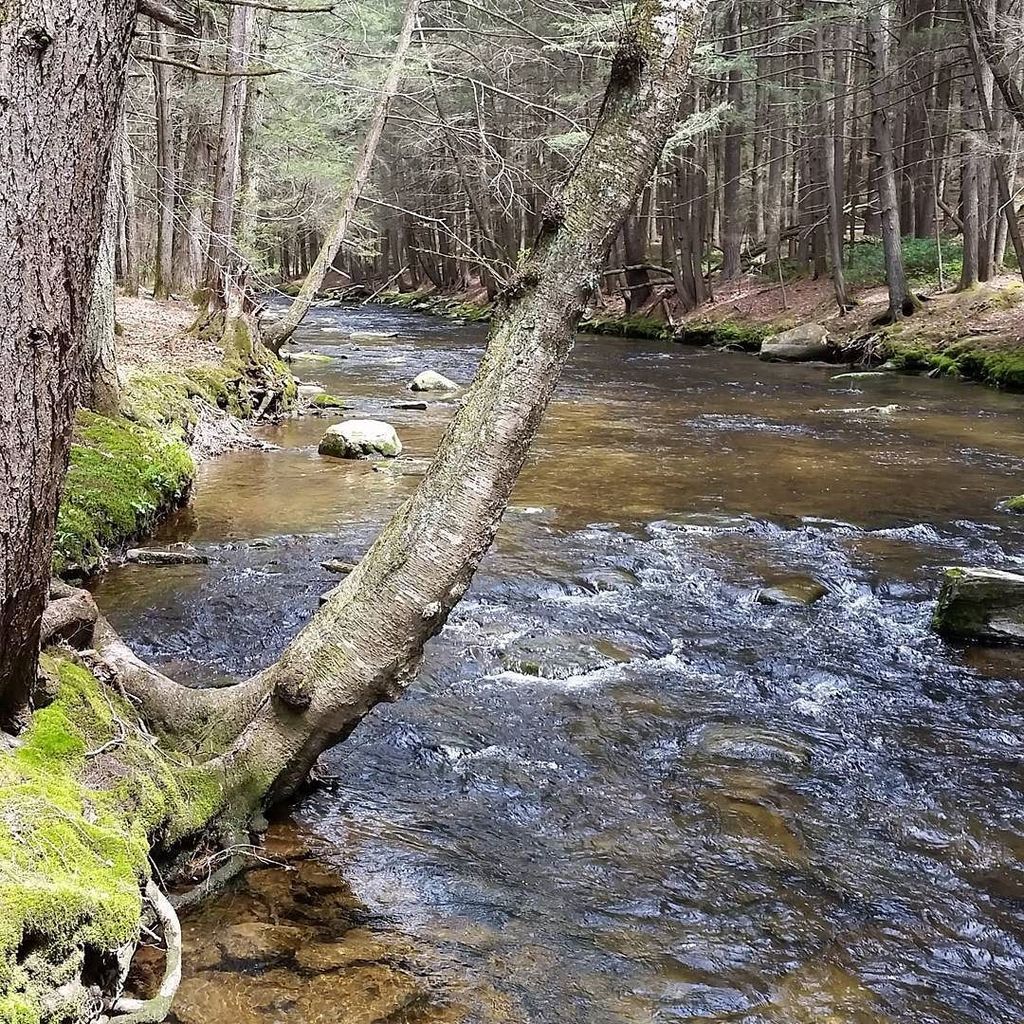 hvcontemporary's tweet photo. #hudsonvalley #nature #naturelove #woods #creek #getoutside #outdoors #ulstercounty #upsta… https://t.co/VHITGIJ3QV https://t.co/dH1OMmmRu9