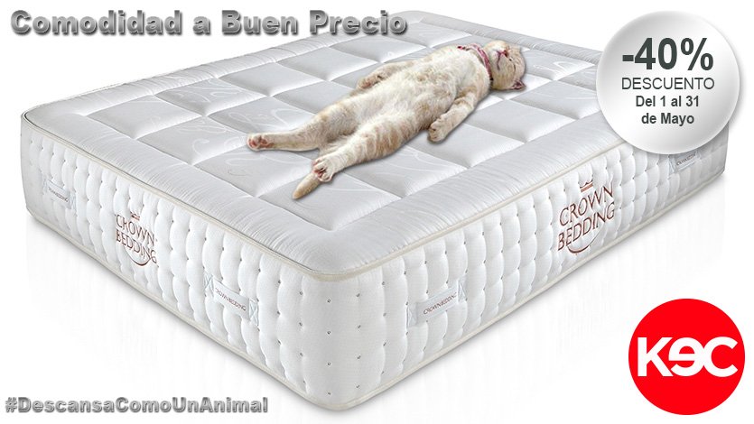 Keconfort's tweet photo. Ven a por tu #colchón a una de nuestras tiendas y aprovecha el #descuento de este mes. #SleepPlanet #CrownBedding https://t.co/7SPUUtZ8EQ