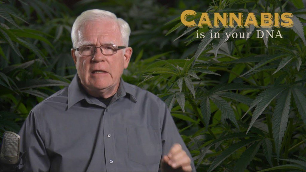 cannabisaust's tweet photo. Video: #Cannabis Is In Your #DNA #THC #CBD https://t.co/CBjg1B6vmq https://t.co/oQAMYBVk7s