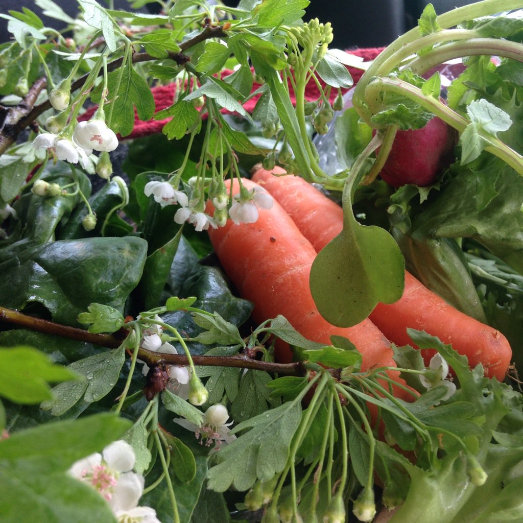 Biodynamic bounty from stroud CSA @MontyWaldin @BDassociationUK