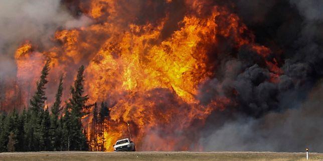 lemondefr's tweet photo. Les flammes continuent à faire des ravages au Canada, 8 000 personnes encore évacuées https://t.co/1PED6E5G0Q https://t.co/K6AYLBzh3A