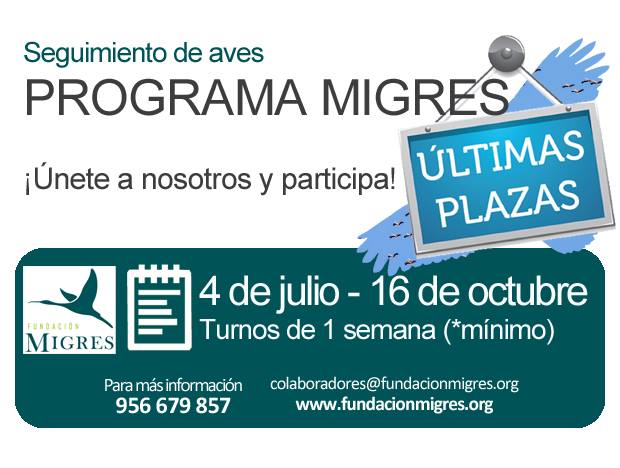FundacionMigres's tweet photo. Quedan pocos turnos para unirse al #ProgramaMigres, ¡date prisa! Toda la información en https://t.co/devDeABqii https://t.co/YtNCmaKL2X