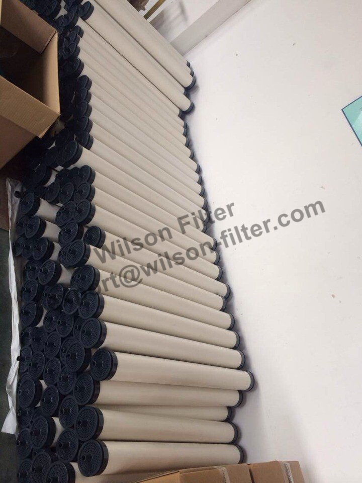 WilsonFilter1 tweet picture