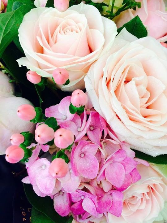 FlowersIreland's tweet photo. Good morning! Nearly there! Make it a great day! #WednesdayWisdom #Flowers #flowers2016 #ireland #love #live https://t.co/IAzKXb3Eag