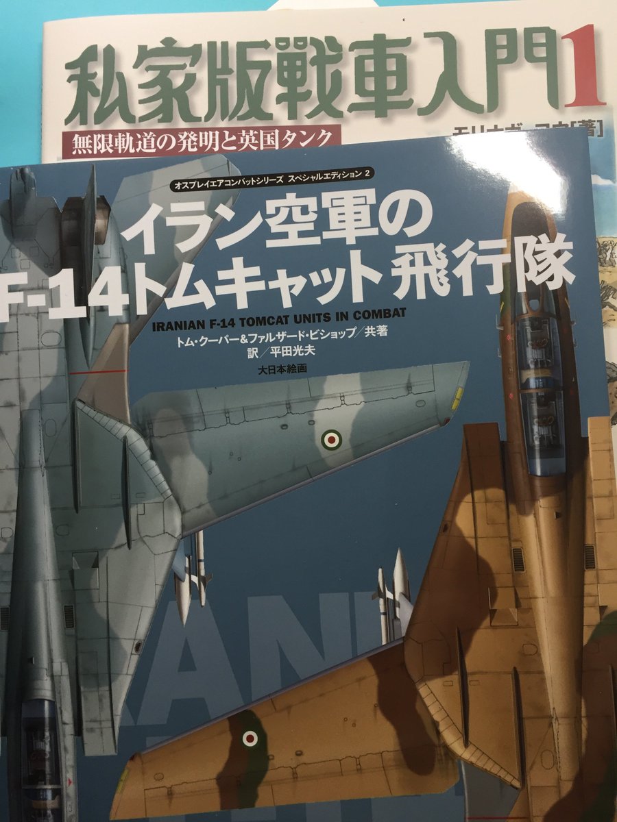 滝沢聖峰 女流飛行士マリア マンテガッ On Twitter スケール