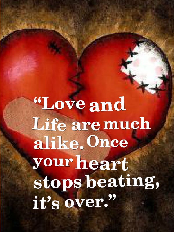 smsapplication5's tweet image. #Love and #life are much alike. Once your #heart stops beating, it's over.