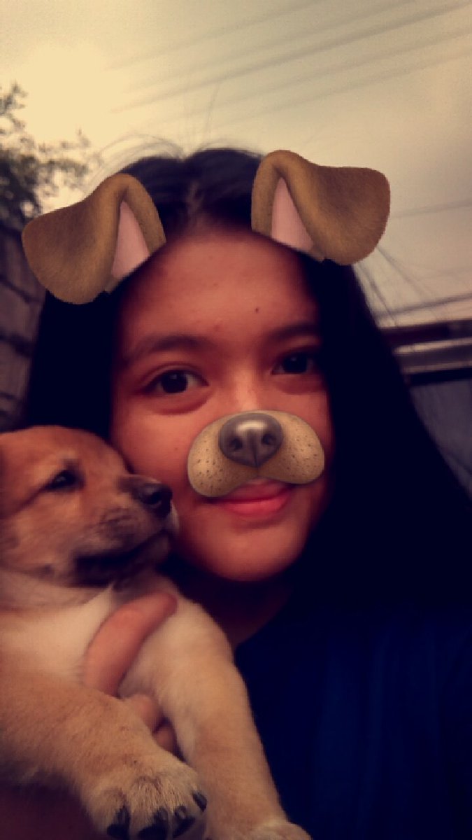 MyPreshoes8's tweet photo. Brownie 🐶💜 https://t.co/qJZHBUmmAg