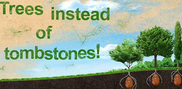 ‘Tree Cemetery’ Concept Showcased In Wroclaw <a href="/WrocloveDesign/">WrocloveDesign</a> #design <a href="/WroclawUncut/">WroclawUncut</a> bit.ly/1WCjzOn