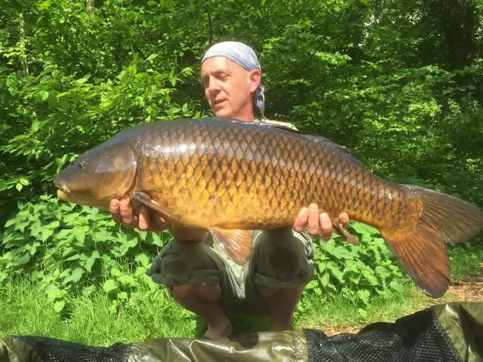 galaxybaits's tweet photo. Nick Gould with great fighting common , check the paddle ! #galaxseablackcurrant #topdangling from tough club lake https://t.co/ay6AqPEXYD