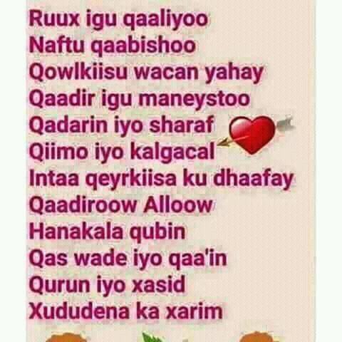 Ubax Ahmed On Twitter I U Bbe