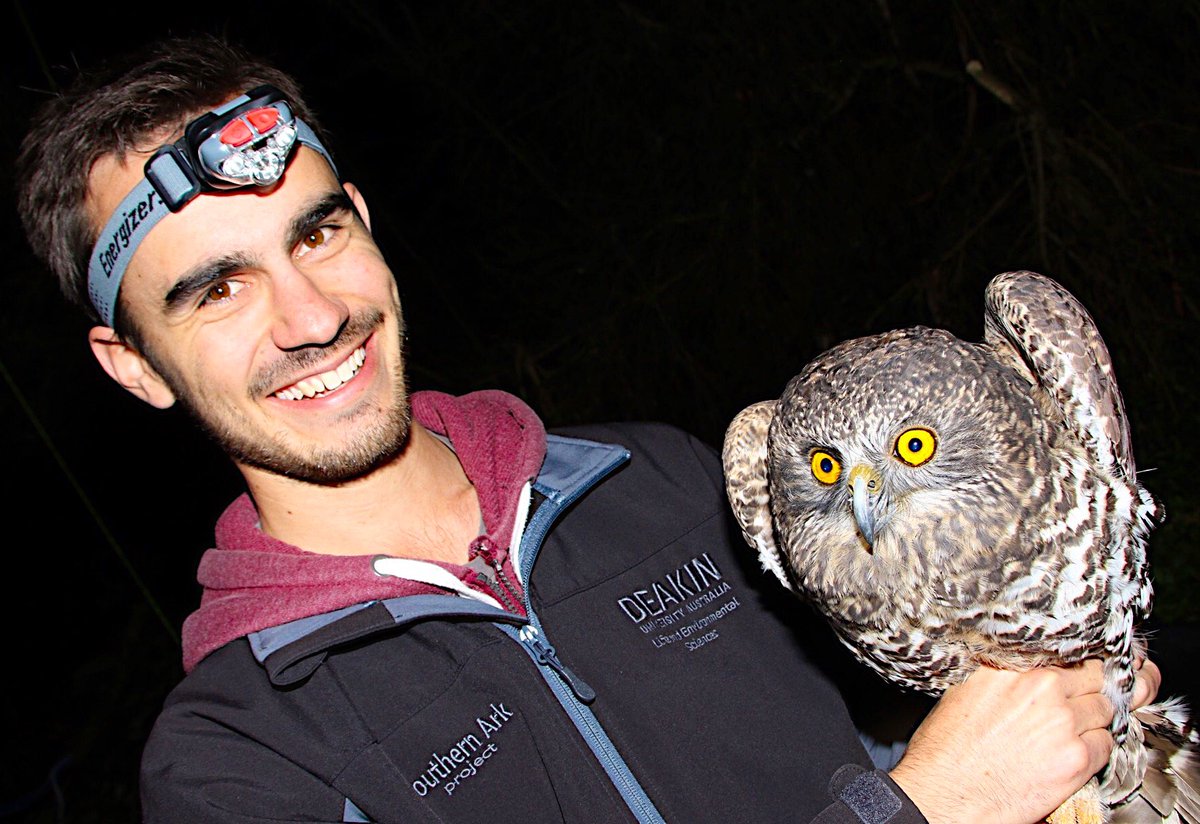 John White Wildlife tweet media