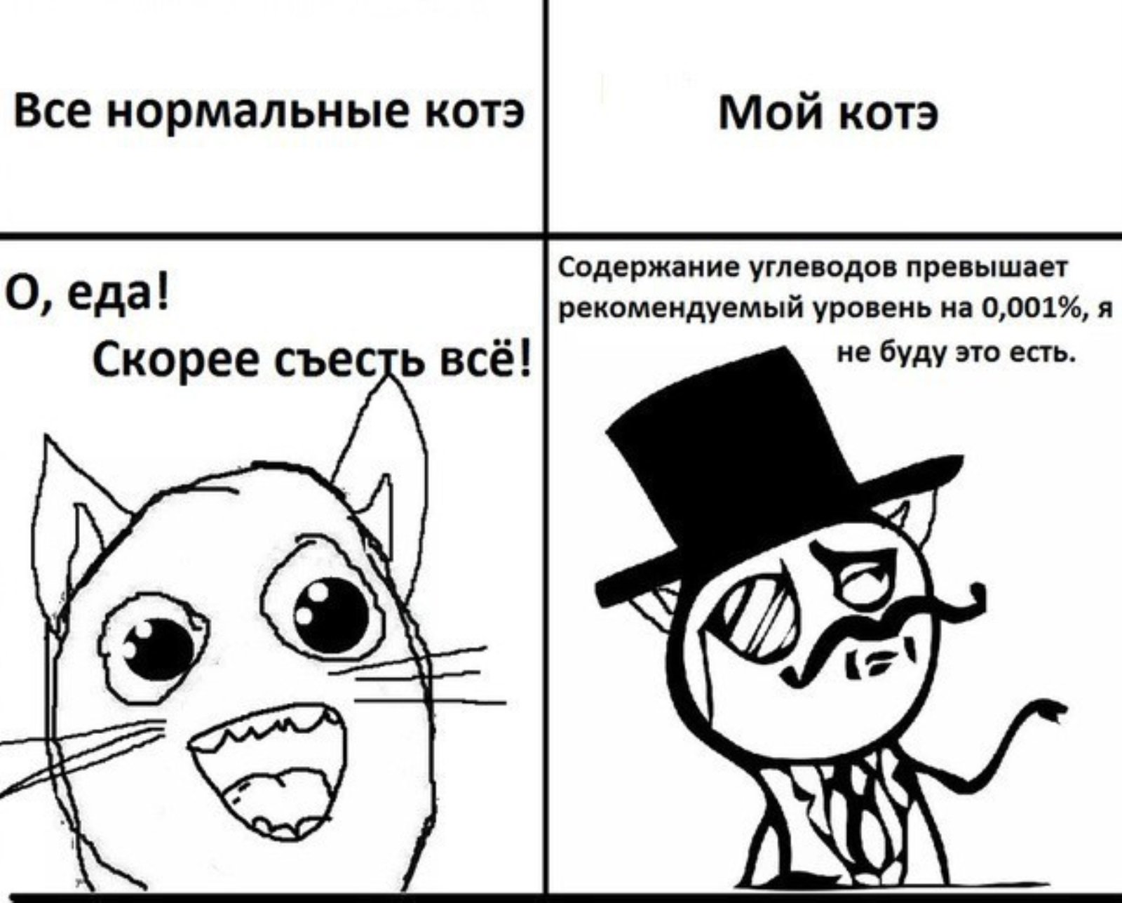 Мемы про котов