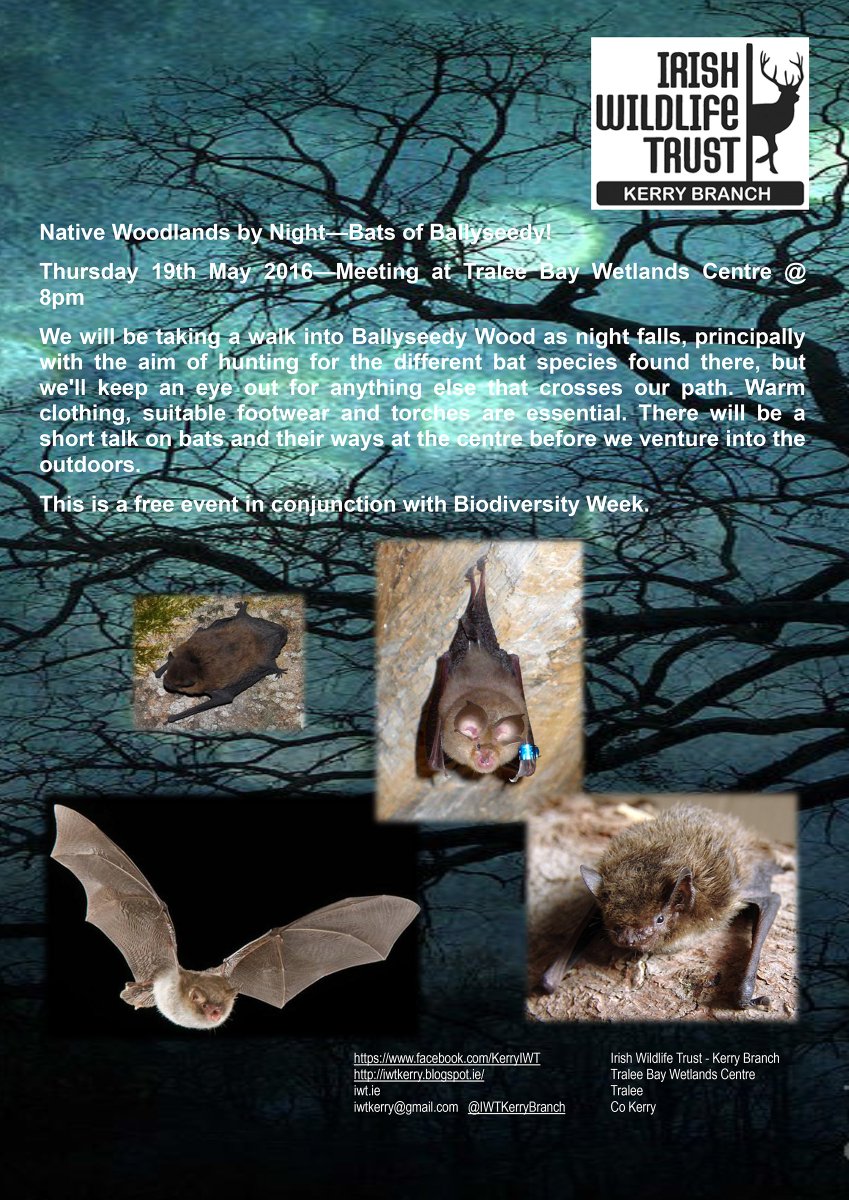 Wildantstuff tweet picture