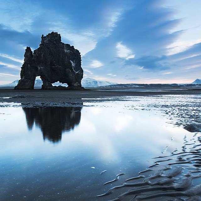 An Arctic dinosaur, sipping on the region’s finest. (Photo: ingimarphotography on Instagram)