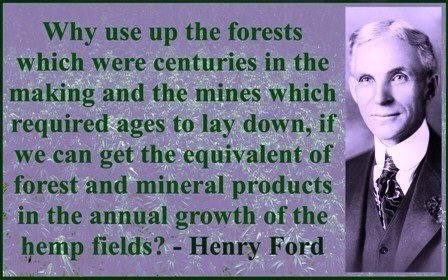 DublinHempCo's tweet photo. Henry Ford: Why use up the Forests ... When we can get the equivalent ... In the annual growth of #hemp fields? https://t.co/gl4yGCSMeg