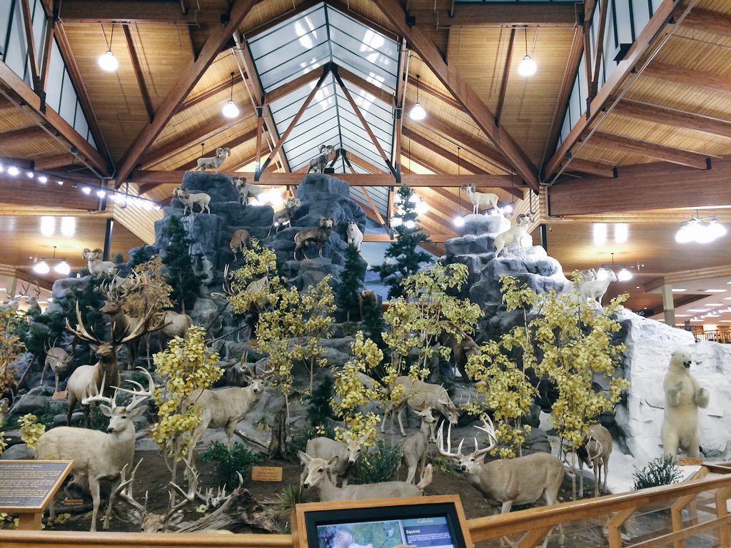 SnapOutdoors's tweet image. The most awesome outdoors retail we've been to @Cabelas