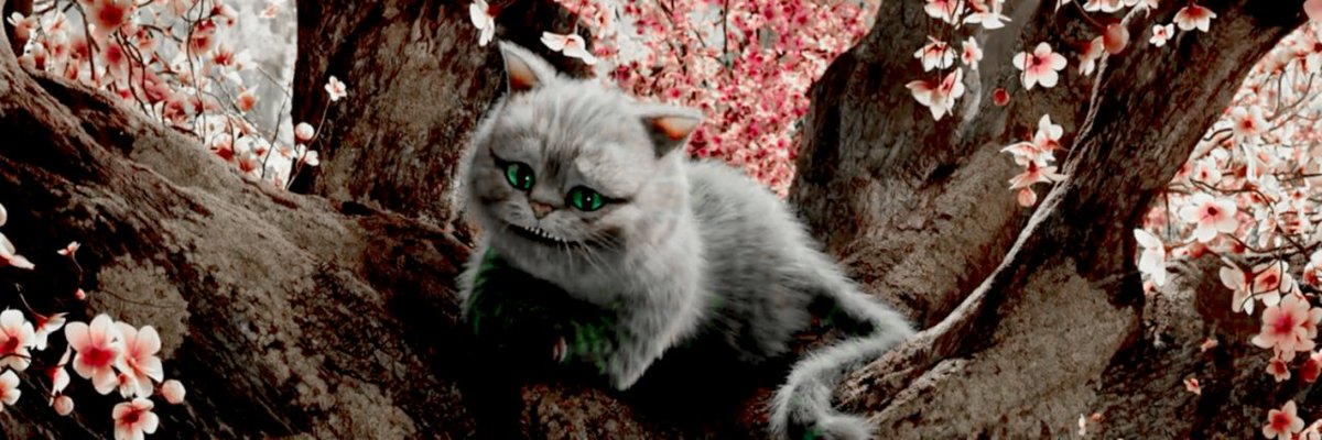 AliceKingslxigh's tweet photo. [I love my header!] https://t.co/Oh8F3M1QfH
