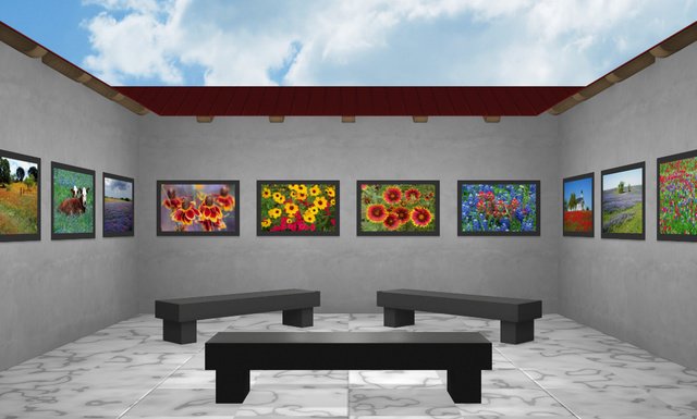 TamronAmericas's tweet image. Share ur favorite photos, showcased in a personalized gallery w/ Tamron's My Photo Exhibits buff.ly/25b7qV7