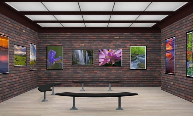 TamronAmericas's tweet image. Share ur favorite photos, showcased in a personalized gallery w/ Tamron's My Photo Exhibits buff.ly/25b7qV7