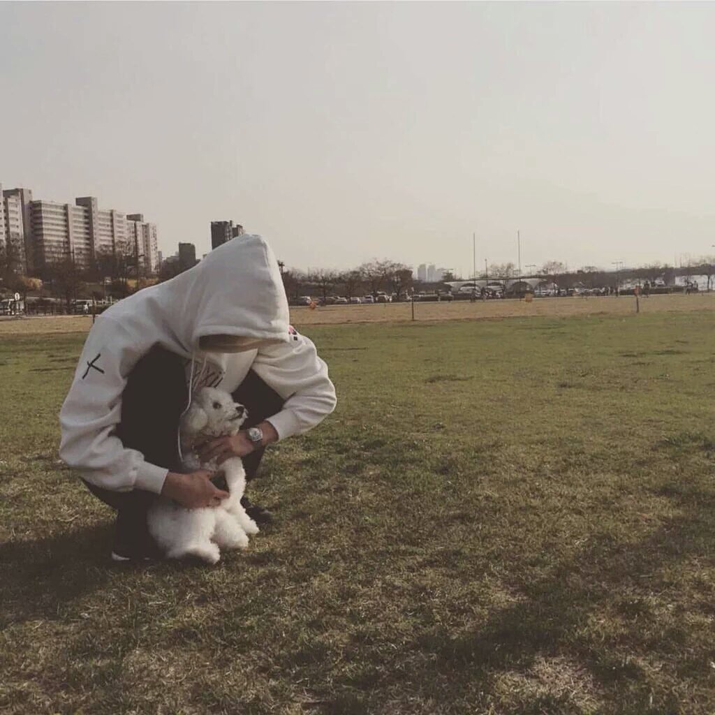 sehunspics's tweet photo. Puppy lover https://t.co/pa8XUykvYQ